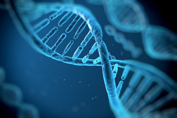 Genetics and Oral Health