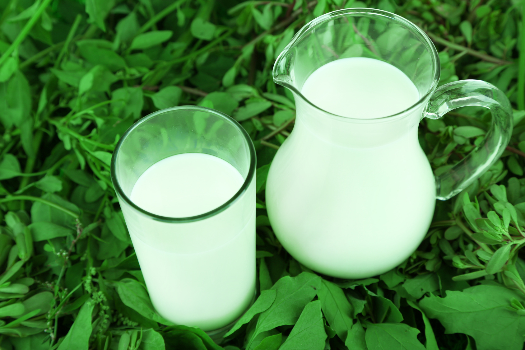 Keep Up With Your Calcium for a Healthier Smile