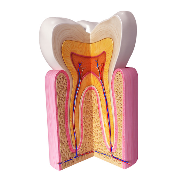 Wisdom teeth stem cells good for the eyes?