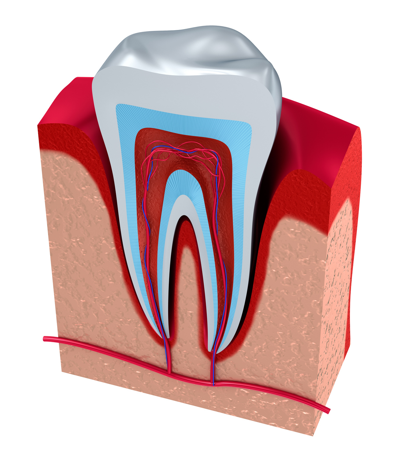 Pathogens and periodontal disease