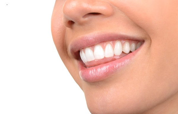 Getting to Know Your Gums