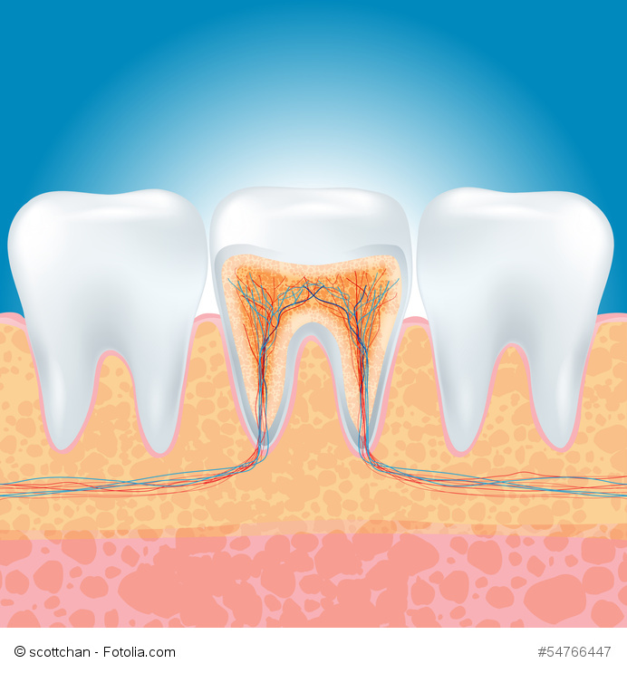What is a root canal?