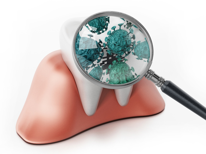 Different Types of Bacteria Present In the Mouth